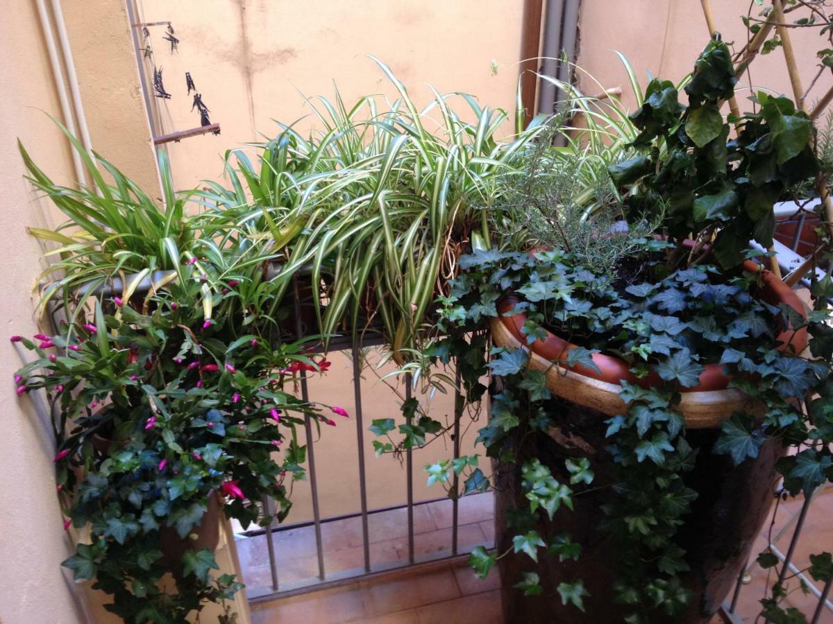 Oasis In The Heart Of Florence Extérieur photo